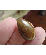(O-147-M) Brown tan oval green red sparkle Yowah opal loose stone Australia - $29.47 CAD