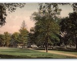 View of Campus University Of Illinois Chapaign IL UNP Albertype Postcard Y2 - $11.83