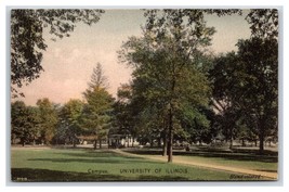 View of Campus University Of Illinois Chapaign IL UNP Albertype Postcard Y2 - £9.45 GBP