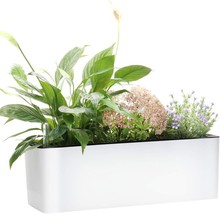 Gardenbasix Elongated Self Watering Planter Pots Window Box, White 5.5&quot; ... - $37.98