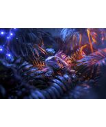 Digital Art - iguana-neon-lights - Free Shipping - $27.36 MXN