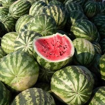 TeL Crimson Sweet Watermelon Seeds 30+ Fruit Melon Heirloom NON-GMO - £2.37 GBP