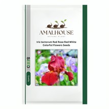 Item image 1 image 1