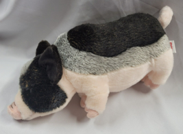 Ganz Webkinz Signature Stuffed Animal Plush Pot Bellied Pig - NO TAG/CODE - £22.90 GBP