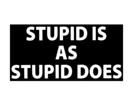 K&#39;s Novelties Wholesale Lot of 6 Stupid is As Stupid Does Decal Bumper Sticker S - £6.94 GBP