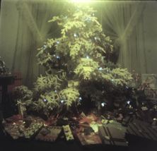 1950s Christmas Tree w/ Blue Lights Glass Plate Photo Slide Magic Lantern - £14.81 GBP