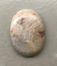 Fossil Ammonite 40x30mm, 30x40mm stone cab cabochon, neutral - £5.59 GBP