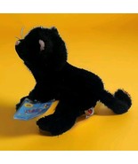Webkinz HM135 Black Cat Pet of the Month NWT - $1,129.04 MXN