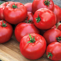 SRN Tomato Seeds 25 Red Beefsteak Salad Tomatoes Canning Sauce Seed Garden - $6.84