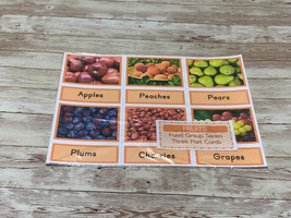 Fruits - Food Groups Series - Montessori Three Part Card - (PRINTED) DIY #2 - £14.95 GBP