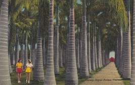 Stately Royal Palms Florida FL McKee Jungle Gardens Postcard D20 - £2.35 GBP