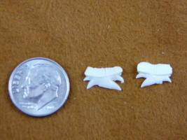 S1972-11 Rare set of 2 upper 3/8&quot; modern Bramble SHARK Echinorhinus brucus - $27.10