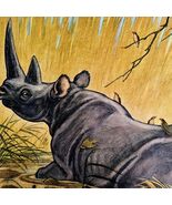 Rhinoceros 1954 Art Print Paul Bransom Marlin Perkins Zooparade DWDD3 - $727.72 MXN