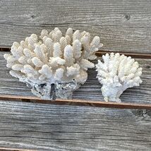 White Natural Coral Heads Coastal Ocean Cauliflower Set of 2 Nautical Decor - $71.02