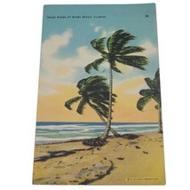 Postcard FL Trade Winds at Miami Beach Florida Palm Trees Linen Vintage PC Vtg - £2.39 GBP