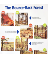 2002 International Paper Poster Life Of A Forest Trees Recycling Vintage... - €21,46 EUR 2002 International Paper Poster Life Of A Forest Trees Recycling Vintage... - €21,46 EUR