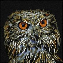 Pepita Needlepoint kit: Night Owl, 10&quot; x 10&quot; - £61.33 GBP+