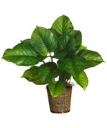 Nearly Natural 29 Inch Large Leaf Philodendron Silk Plant Real Touch - $294.21 CAD