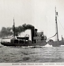 Whaling Steam Ship Southern Maid 1926 Nautical Antique Print Whale Hunti... - £19.65 GBP