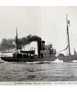 Whaling Steam Ship Southern Maid 1926 Nautical Antique Print Whale Hunti... - £19.74 GBP