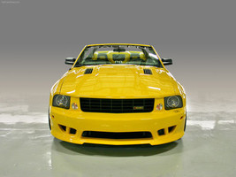 Saleen Ford Mustang S281 Speedster 2006 Poster  24 X 32 #CR-A1-1344507 - £26.12 GBP