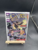 DC Comics Universe Watch Out, Catwoman! The Dust Bunnies. No.22 June 2020 Lot #2 - £7.76 GBP