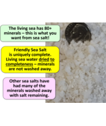 Sea Salt  6 ounces  high in sea minerals (20+%) - most sea salts are &lt; 4% - $6.83 CAD