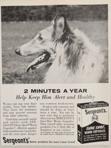 1961 Print Ad Sergeant&#39;s Sure Shot Worm Capsules Collie Dog Better Products - $13.93