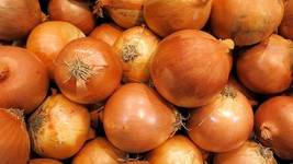 50 Seeds- Sweet Spanish Onion -Tasty Delicate Onion Flavor -All Natural - £3.89 GBP
