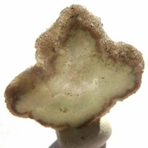 ***  SALE Distressed ITEMS***  Quartz Stalactite Flower Slice  VX1760 - $8.08