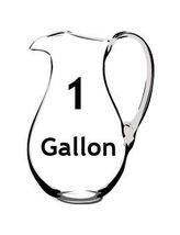 LWM5 - One (1) Gallon in GLASS John Ellis Living Water Electron Energized - £50.84 GBP