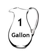 LWM5 - One (1) Gallon in GLASS John Ellis Living Water Electron Energized - £51.11 GBP