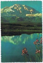 Postcard Mount McKinley Reflection On Lake Fireweed Alaska - $2.77