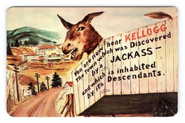 Prospector Noah S Kellogg&#39;s Pesky Jackass Kellogg Montana UNP Chrome Postcard H6 - £2.28 GBP