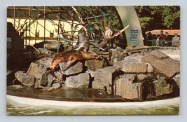 Monkeys Seals Sea Lions Stanley Park Zoo Vancouver BC UNP Chrome Postcard L13 - £4.97 GBP