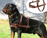 Real Leather Dog Harness Pet Training Products - $166.88+