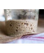 T0P SELLER 0RIGINAL SAN FRANCISC0 S0URD0UGH STARTeR yeast flour sally re... - $10.75 CAD