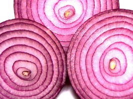 250 Red Creole Onion Spicy Cajun Short Day Allium Cepa Vegetable Seeds Fresh Gar - £8.38 GBP