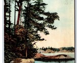 A View of Thousand Islands New York NY Picturesque America UDB Postcard N23 - £3.09 GBP