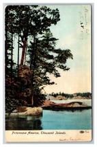 A View of Thousand Islands New York NY Picturesque America UDB Postcard N23 - £3.08 GBP