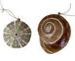 Midwest-CBK Natural Sea Shell Ornaments Glittered Set of 2 NWT&#39;s Coastal - £8.24 GBP