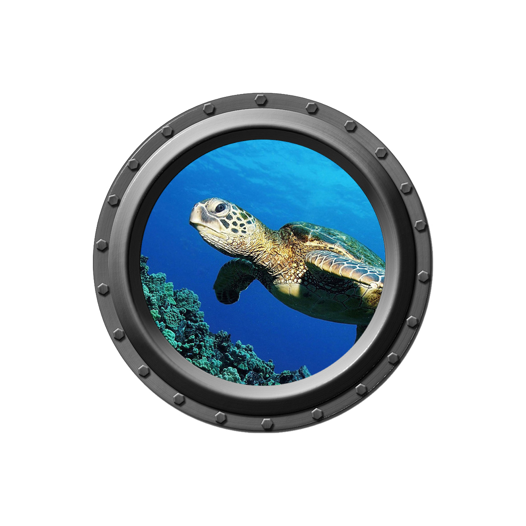 Turtle Swimming Over Reef - Porthole Wall Decal - £11.19 GBP