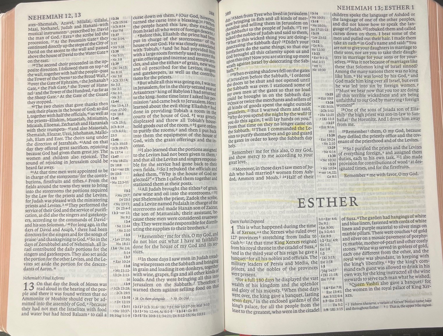 NIV Bible Pitt Minion Reference Edition Black Goatskin  Leather NI186RC Item image 4