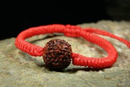 6 Mukhi Six Face Rudraksha Bracelet - $78.21