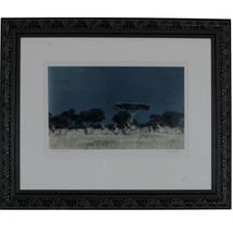 Zebras, Tanzania by John Wolf Signed Framed Photograph 24 x 20 - $200.79