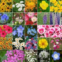 Wildflower Mix Coastal California 25 Species Regional Flowers Nongmo 100... - £8.41 GBP