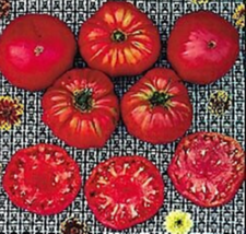 30 Pc Seeds Soldacki Tomato Vegetable Plant, Tomato Seeds for Planting | RK - £23.50 GBP