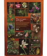 Poster Illinois Rare Plants Division of National Heritage 24 X 36 Identi... - $12.36 CAD