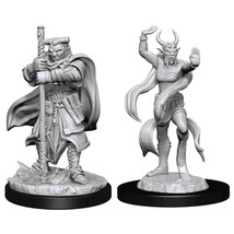 D&amp;D Nolzur&#39;s  Minis Hobgoblin Devastator &amp; Iron Shadow - $18.06