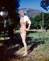 Marie Windsor Bikini Color Cheesecake 8x10 Photo (20x25 cm approx) - £7.64 GBP